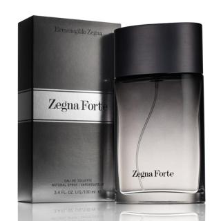 Ermenegildo Zegna Zegne Forte